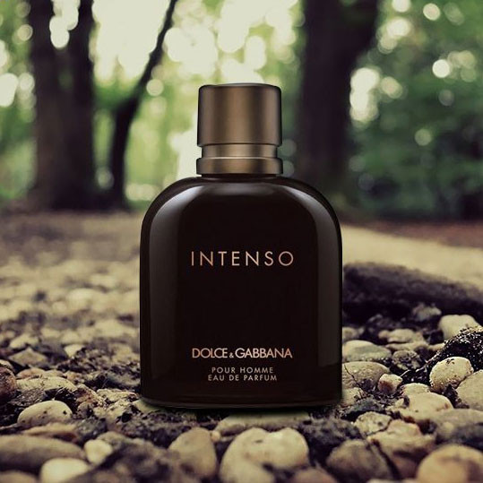 Gabbana Intenso Perfume Dolce Gabbana Pour Homme Intense Gabbana