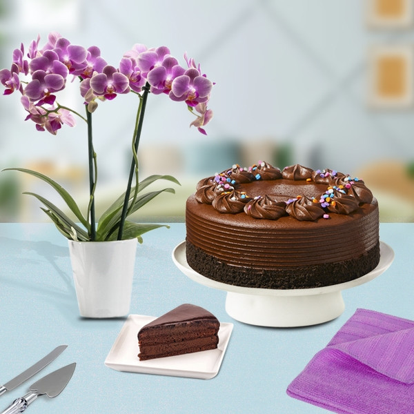orchid cake stencil