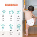 R for Rabbit Feather Diaper-  Small size ( Pant Style)- Pack of 48