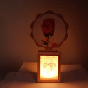 Aesthetic Rotating Floral Frame Featuring LED Base Lamp