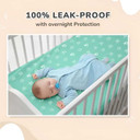 R for Rabbit Dry Nap Pee Premium Protector Sheet Small Green DSDNSGN1