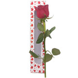 You're The One - Single Rose in Special Hearts Printed Box
