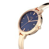 Titan Raga Viva Analog Watch For Women - 2578WM02