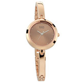 Titan Raga Rose Gold Dial Analog Watch For Women - 2606WM05