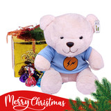Teddy Bear With Christmas Chocolate Box