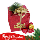 Gourmet Chocolates in Christmas Gift Box