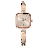 Titan Raga Rose Gold Dial Women's Watch - 2607WM01