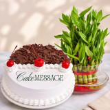 Black Forest Cake 1lb & Lucky Bamboo Plant