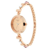 Titan Raga Gold Dial Analog Watch For Women - 2606WM06