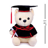 Graduation Congrats Teddy Bear 14'' - Cream