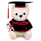 Graduation Congrats Teddy Bear 14'' - Cream