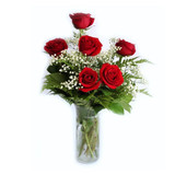 6 Romantic Fresh Red Roses Vase