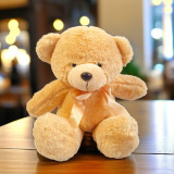 20 cm Cute Brown Color Teddy Bear