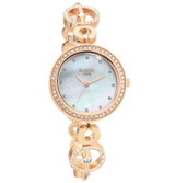 Titan Raga Watch Crystals Studded Dial for Her (2539WM03)