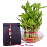 Rakhi with Bamboo Plant and Wallet