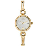 Titan Raga Champagne Dial Analog Watch for Women (311YM01)