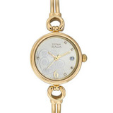Titan Raga Champagne Dial Analog Watch for Women (311YM01)