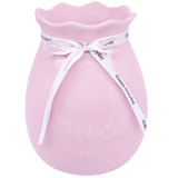 Soft Baby Pink Flower Vase Home Decor
