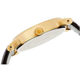 Titan KARISHMA Champagne-Golden Dial Analog Watch for Men (1445YL02)