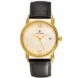 Titan KARISHMA Champagne-Golden Dial Analog Watch for Men (1445YL02)