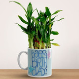 'Happy Birthday' Printed Ceramic Mug With Lucky Bamboo