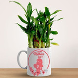'Happy Mothers Day' Printed Ceramic Mug With Lucky Bamboo Plant