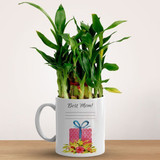 Personalised Ceramic Mug With Lucky Bamboo Plant For Mom