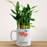 Lucky Bamboo Plant in Ceramic Mug Gift For Mother's Day