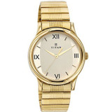 Titan Two-Tone Dial Analog Watch for Men (1580YM01)