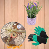 Dry Nuts Plate With Garden Gloves & Artificial Plant