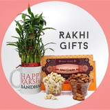 Lucky Bamboo Plant Mug, Dry Nuts Pack and Rakhi Gifts Lucky Bamboo Plant Mug, Dry Nuts Pack and Rakhi Gifts