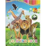 Animal Colouring Book With Stickers For Children Animal Colouring Book With Stickers For Children