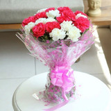 Fresh 20 Mixed Carnations Bouquet