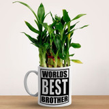 Bamboo Plant Mug Gift For World Best Brother Bamboo Plant Mug Gift For World Best Brother