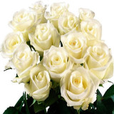 Elegant One Dozen White Roses Bunch