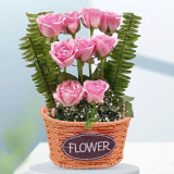 Pink Roses Basket With Gypsy & Ferns