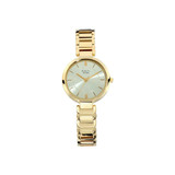 Titan Raga Women's Watch- 2251YM01