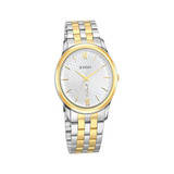 Titan Men's Watch (1494SM01)
