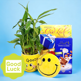 Good Luck Hamper - Bamboo Plant, Chocolate, Mug Combo