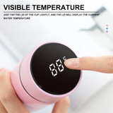 Personalized LED Temperature Control Display Water Bottle
