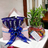 Four Packs of Cadbury Dairymilk & Lucky Bamboo Plant Gift Hamper Four Packs of Cadbury Dairymilk & Lucky Bamboo Plant Gift Hamper