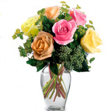 Elegant Half Dozen Mixed Rose Bouquet