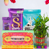 Rakhi Celebration with Lucky Bamboo Gift Hamper