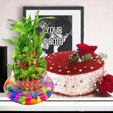 Red Velvet Cake With Lucky Bamboo & Music Design Frame