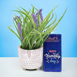 Friendship Day Gift With Plant Combo