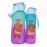 2 in 1 Premium Quality Water Bottle with Stickers