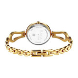 Titan Raga Brown Dial Analog Watch for Women-2727YM01