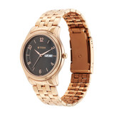 Titan Gents Karishma Brown Dial Analog Watch for Men-1824Wm01