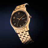 Titan Gents Karishma Brown Dial Analog Watch for Men-1824Wm01