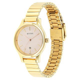 Titan Ladies Beige Dial Metal Strap Watch-2679YM01